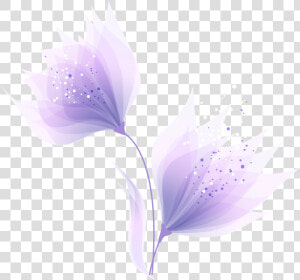 Purple Abstract Fantasy Flowers Png Download   Tulipa Humilis  Transparent Png