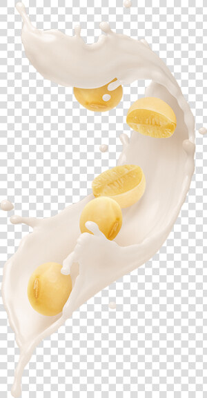 Soybeans Png  Transparent Png