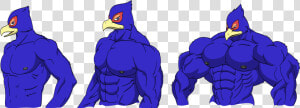 Falco S Sizes   Falco Muscle  HD Png Download