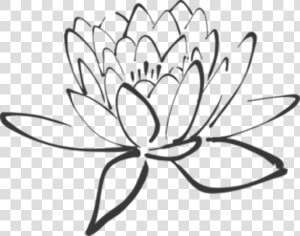 Drawing Chinese Lotus Flower   Black Lotus Clip Art  HD Png Download