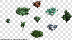 Hjm Bushes 12 Alpha   Illustration  HD Png Download