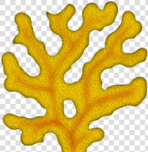 Coral Clipart Png   Png Coral Clipart  Transparent Png