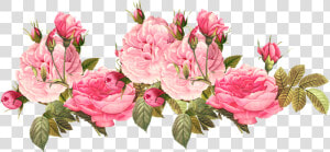 Romantic Pink Flower Border Png Photos   Transparent Pink Flower Png  Png Download