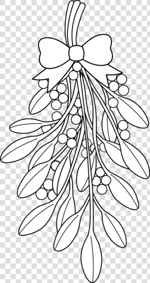 Poinsettia Flower    Christmas Mistletoe Coloring Pages  HD Png Download