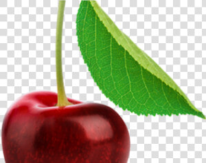 Cherry Png Transparent Images   Single Cherry Fruits  Png Download