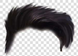 Hairs Png   Punk Fashion  Transparent Png