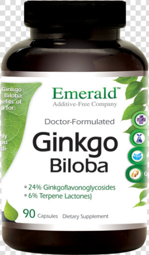 Ginkgo Biloba Bottle   African Mango Supplements  HD Png Download