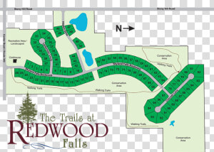 Trails At Redwood Falls  HD Png Download