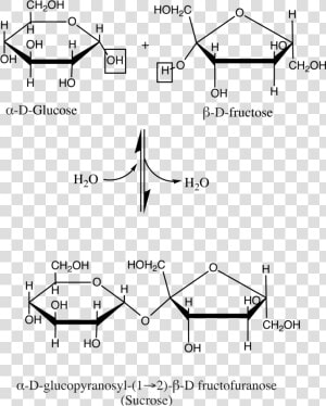 Sucrose Structure  HD Png Download