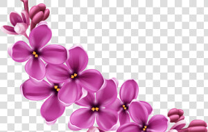 Portable Network Graphics Clip Art Transparency Flower   Background Purple Flower Png  Transparent Png