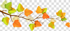 Fall Image Clip Art   Transparent Background Fall Leaves Clip Art  HD Png Download