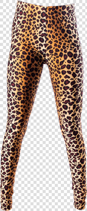 Leopard Print Leggings Transparent Background   Leggings Adidas Transparent Background  HD Png Download