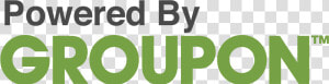 Groupon Png  Transparent Png