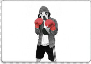 Street Boxer Skin Macbook Pro 15” 2016    Professional Boxing  HD Png Download