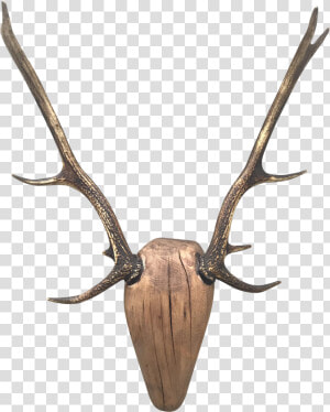 Deer Antlers Transparent   Antlers Transparent Background  HD Png Download