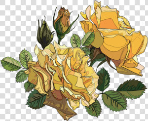  rose  roses  yellow  yellowrose  yellowroses  orange   Yellow Roses Png  Transparent Png