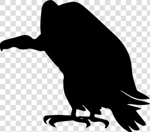 Vulture Bird Shape   Vulture Icon  HD Png Download