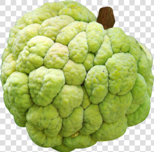 Custard Apple   Custard Apple Variety In India  HD Png Download