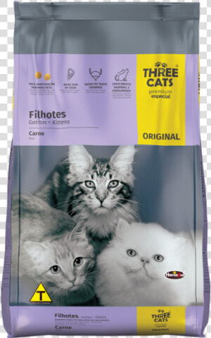 Original Kittens   Meats   Three Cats Gatos Filhotes  HD Png Download