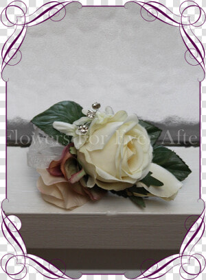 Transparent Corsage Png   Garden Roses  Png Download