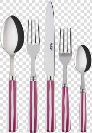 Sabre Paris White Stripe Fuchsia 5 Piece Place Setting  HD Png Download