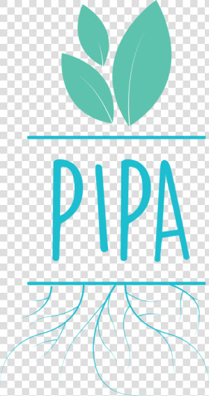 Pipa Png   Png Download   Graphic Design  Transparent Png