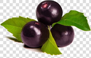 A Legfinomabb Acai Gyümölcspépek  Italok És Receptek   Acai Berry Transparent  HD Png Download