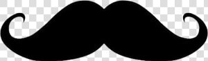 Mustache   French Moustache Transparent Background  HD Png Download