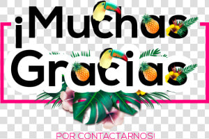 Muchas Gracias   Graphic Design  HD Png Download