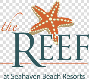 Reef Hotel Logo Outlines   Starfish  HD Png Download