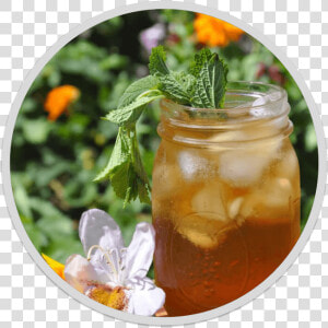 Speak Easy Throat Coat Tea   Iced Tea  HD Png Download