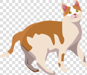 Cat Animal Mammal Cute Pet Kitten Domestic   Vector Cute Dog Cat Graphics  HD Png Download