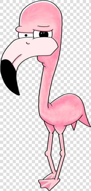 Pink Flamingo   Greater Flamingo  HD Png Download