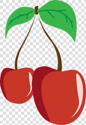 Cherry Fruit Cherries Leaf Nutrition Eating   Nutrição Png  Transparent Png