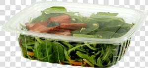 World Centric Clear  Rectangular Deli   Envases Biodegradables Para Ensaladas  HD Png Download