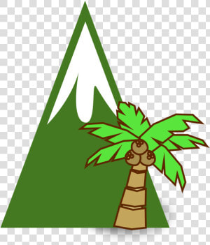 Plant flora leaf   Clipart Coconut Tree Cartoon  HD Png Download