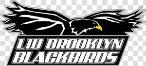 Liu Brooklyn Pulls Out Of Tri meet With Rutgers  Brown   Liu Brooklyn Blackbirds Logo  HD Png Download