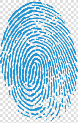 Fingerprint Background Transparent   Fingerprint Png Transparent  Png Download