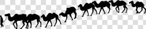 Camel Train Silhouette Desert   Camel In Desert Silhouette  HD Png Download