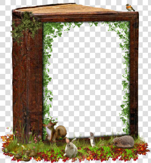 Cadre Nature Png  Transparent Png