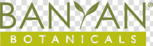 Banyan Botanicals  HD Png Download