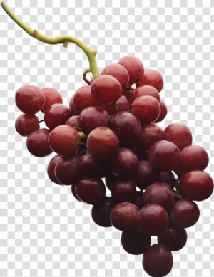 Grape Png Image   Png Grape Vine Red Grape  Transparent Png