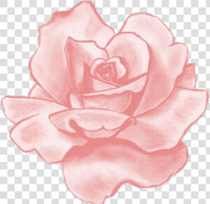 Pink Rose Clipart Png Tumblr   Pink Flower Aesthetic Stickers  Transparent Png