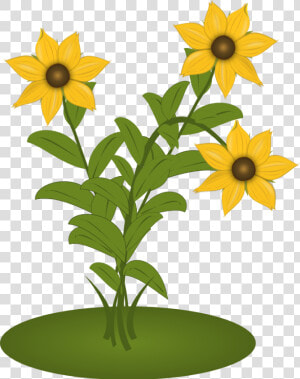 Black Eyed Susans   Clip Art  HD Png Download