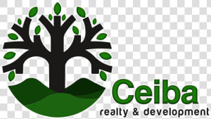 Ceiba Logo   Ceiba Realty  HD Png Download