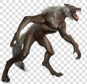 Werewolf Png Photo   Illustration  Transparent Png