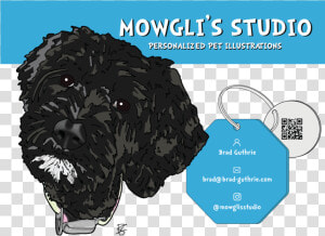 Promotional Flyer   Labradoodle  HD Png Download