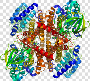 Protein Acad8 Pdb 1rx0   Creative Arts  HD Png Download