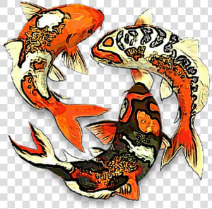 Koifish Aesthetic Koi Fish Fishes Fishbowl Water Fishes  HD Png Download