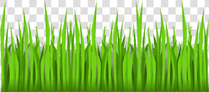 Green  Grass  Growing  Nature  Mowing  Plant  Outside   Cartoon Grass No Background  HD Png Download